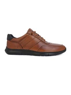 Alberto Torresi Sneakers For Men Walk In Style And Comfort -Alberto Torresi Sale Store 66768Tan 2