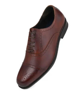 Alberto Torresi Brown Formals Lace-Ups -Alberto Torresi Sale Store 88651 BROWN 4 ca7b3ff8 5f3e 44d0 b1f1 146e40379cd9