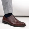 Alberto Torresi Brown Formals Lace-Ups -Alberto Torresi Sale Store 88651 BROWN 8 3778e61d 464a 4c4a af5c 484975f3e925