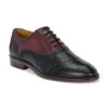 Alberto Torresi Genuine Leather Black Bordo Brogue Formal Lace Ups -Alberto Torresi Sale Store 88689 BLACK BORDO 1