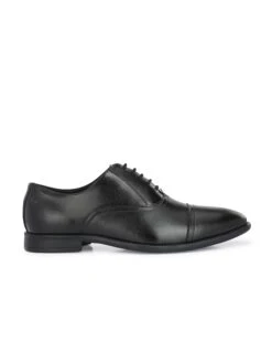 Alberto Torresi Black Synthetic Formal Shoes -Alberto Torresi Sale Store 88700Black 4