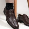 Alberto Torresi Brown Formal Brogue Shoes -Alberto Torresi Sale Store DSC 7913